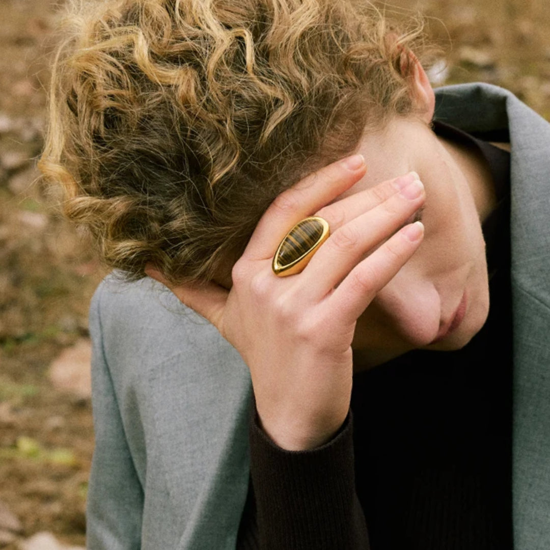 Anillo Gala Férrea con piedra tigre natural – lenorajewelry.com/anillo-gala-ferrea-oro-piedra-tigre,
anillo de oro, joyería con piedras naturales, piedra tigre, acero inoxidable joyas, anillo para mujer, regalo de lujo, lenora, joyería audaz, moda sostenible, accesorios premium