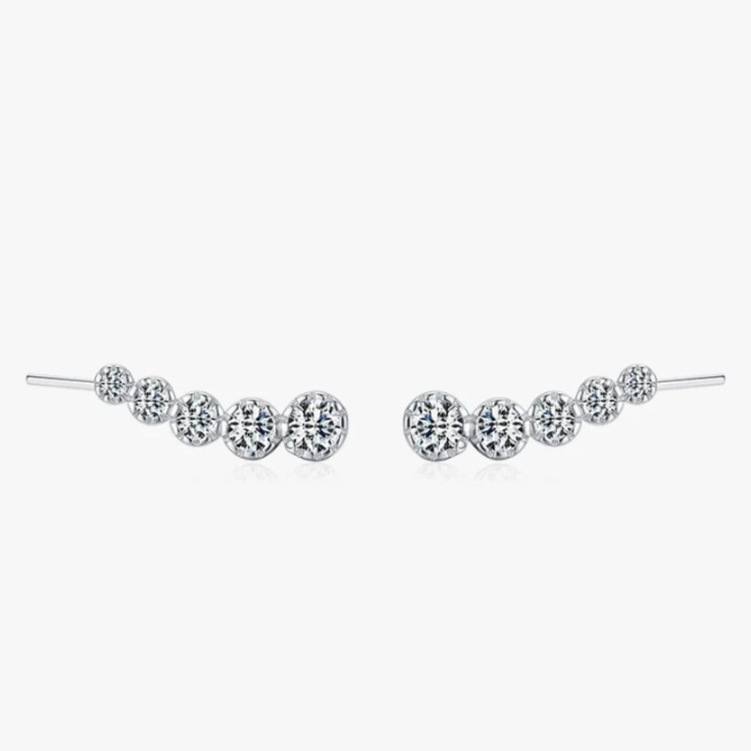 pendientes con alas brillantes, pendientes con circonita cúbica transparente, pendientes elegantes, pendientes de moda, joyería con alas, pendientes para mujeres, pendientes de alta calidad